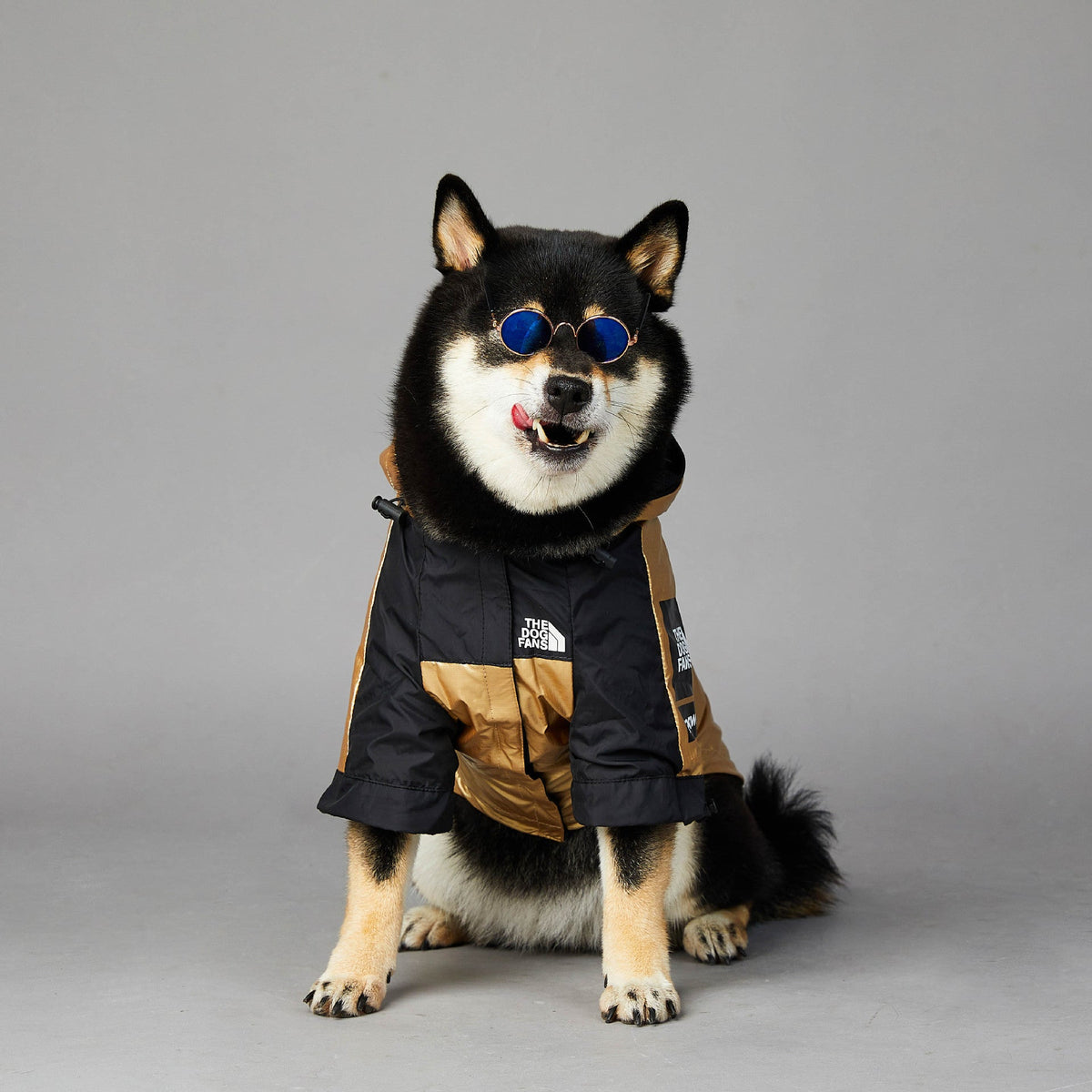 Windproof And Rainproof Dog Large Raincoat Shell Jacket