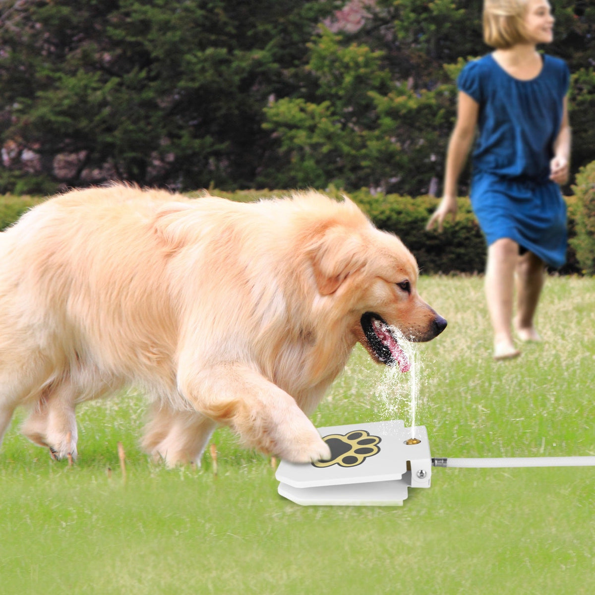 1pc Dog Water Fountain Outdoor Pet Dispenser Step-on Activated