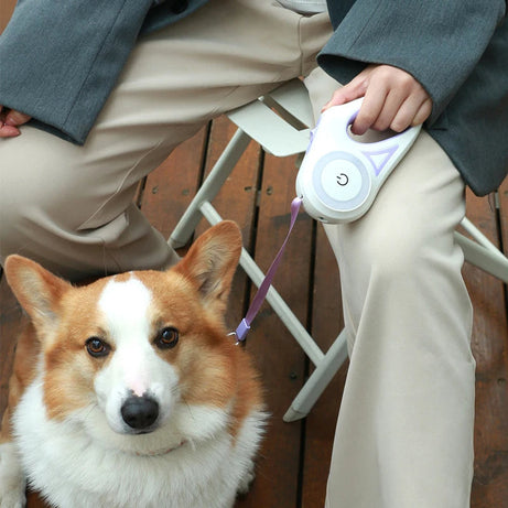 3 And 5m Dog Leash Light Retractable Pet Leads Traction Rope Belt