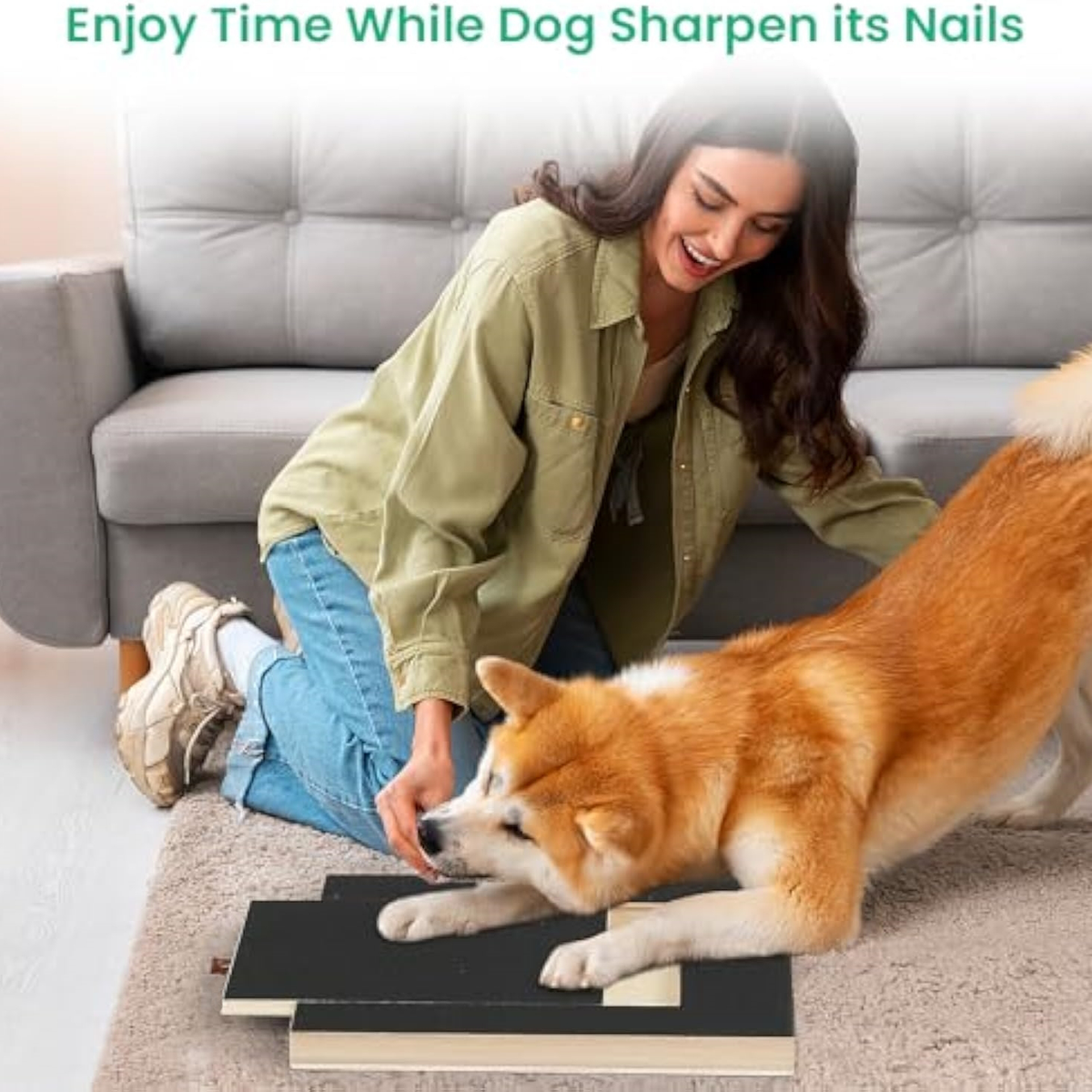 Dog Nail Scratch Board File Grinder Pad For Nails With Treat Box
