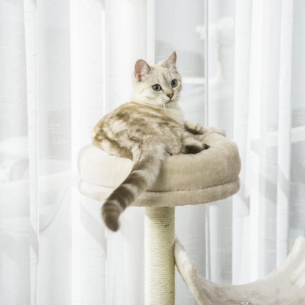 Pawhut Cat Tree For Indoor Cats Kitten Pet Scratching Post Perch