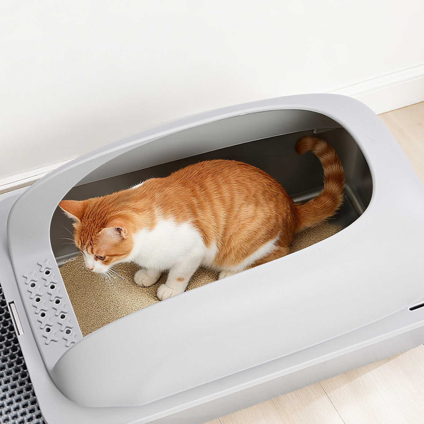 Stainless Steel Cat Litter Box With Lid Large For Big Cats Scoop