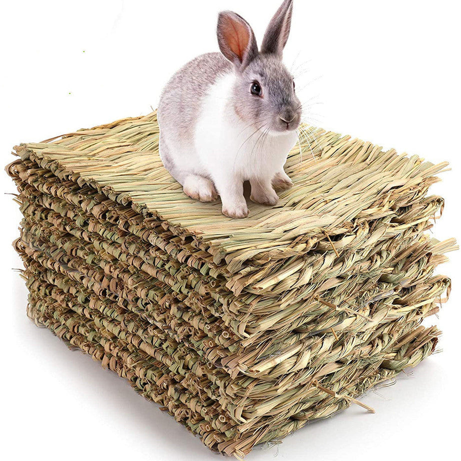 3 Pack Rabbit Bunny Mat Toy Bed For Small Animal Like Guinea Pig