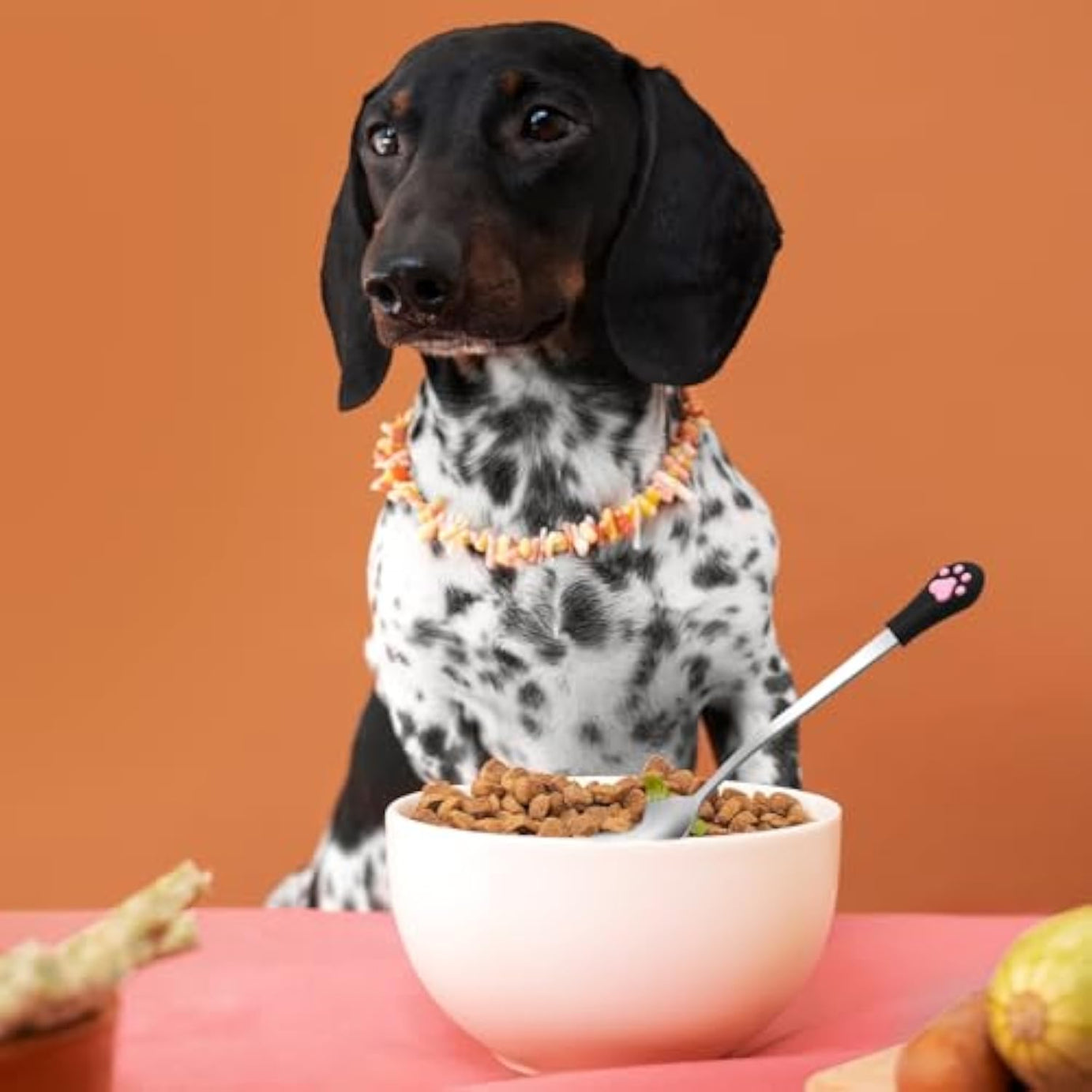 2 Pcs Dog Cat Spoon Pet Can Stainless Steel Claw Spoons For Wet