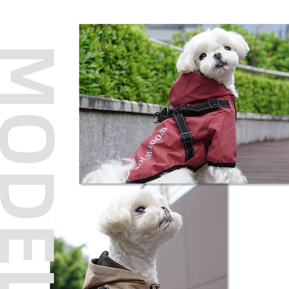 Puppy Dog Raincoat Four-legged Waterproof All-inclusive Poncho