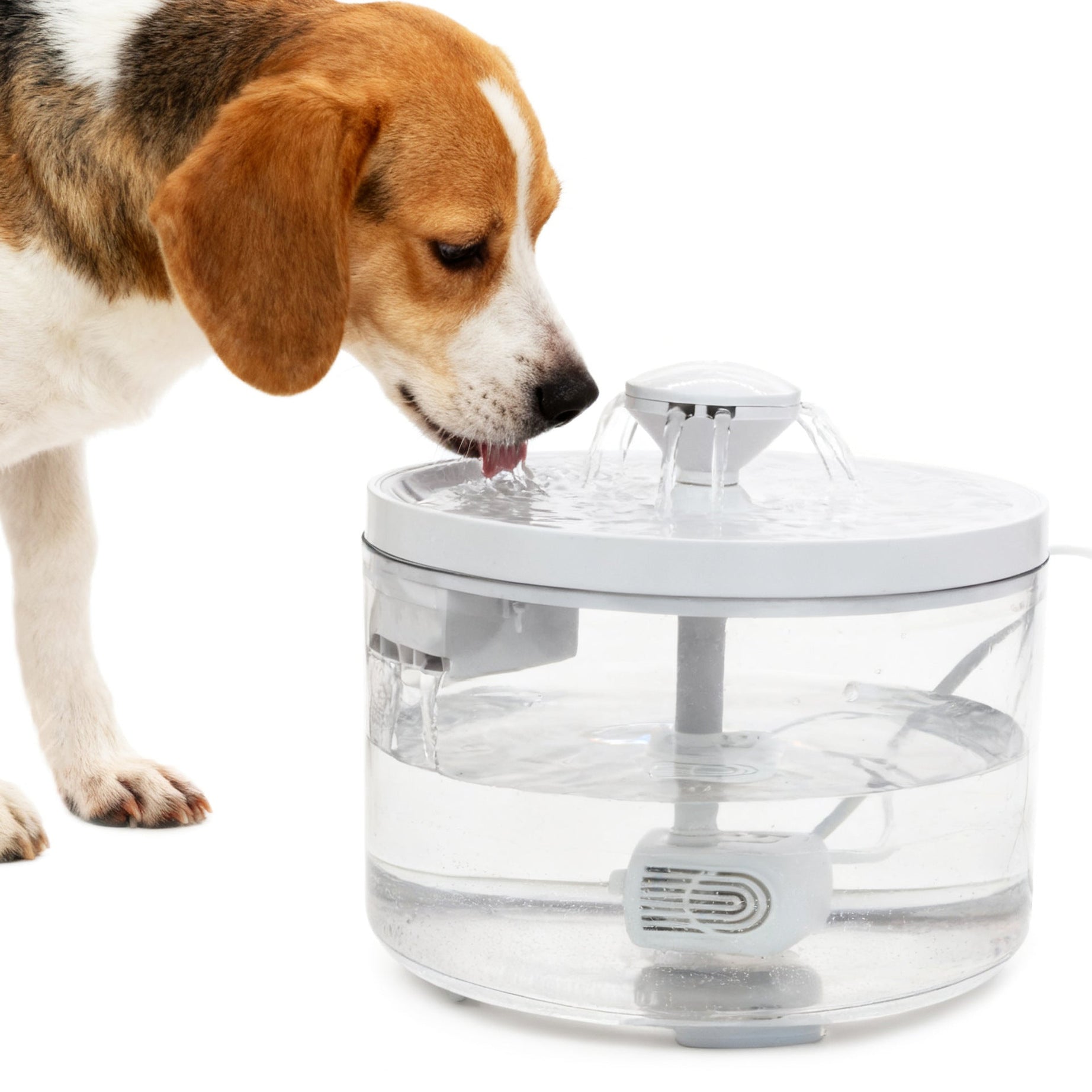 Automatic Pet Water Fountain Circulating Drinking Dispenser