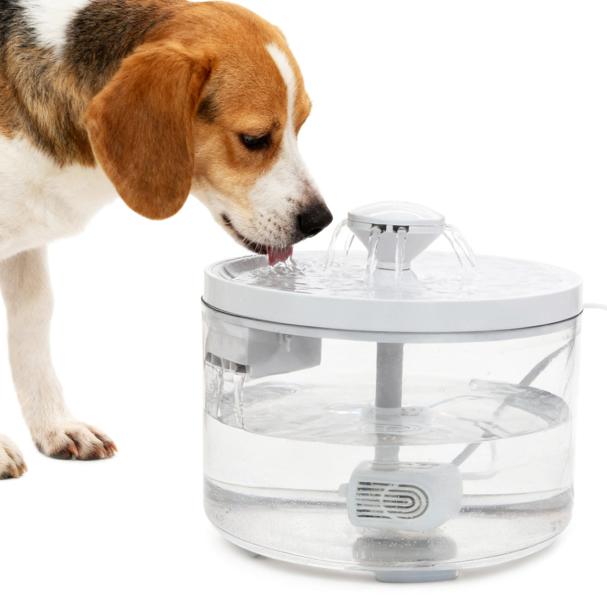 Automatic Pet Water Fountain Circulating Drinking Dispenser