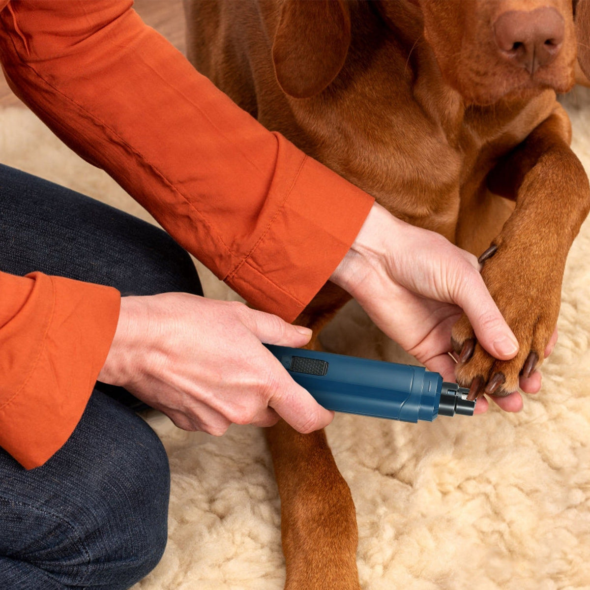 1pc Dog Nail Grinder 2 Speeds Quiet USB Rechargeable Pet