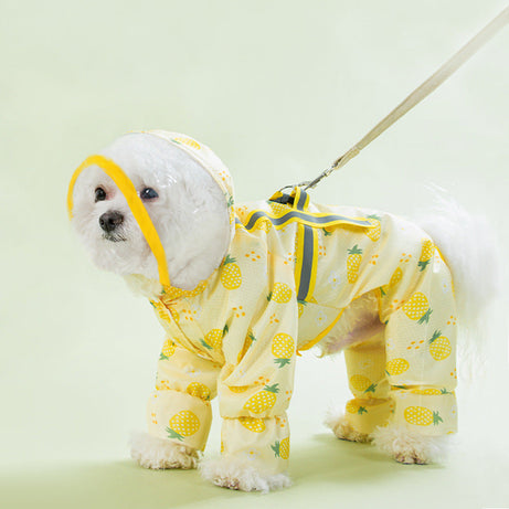 Fruit Printed Puppy Waterproof Raincoat