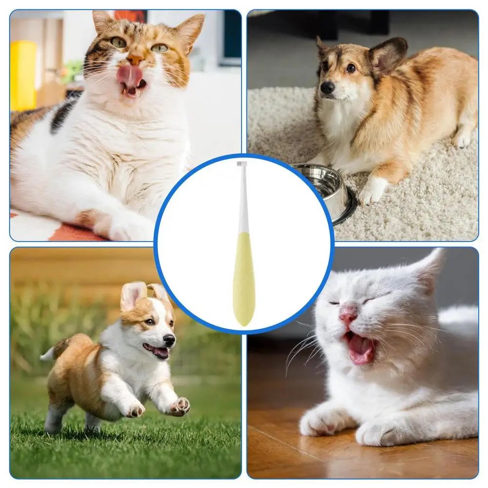 Pet Toothbrush Kitten Tooth Brushes Small Cats Safe Dog Oral Care