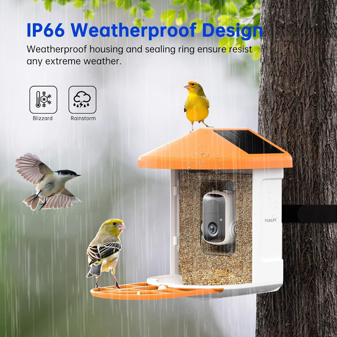 Smart Feeder Surveillance Wireless Camera
