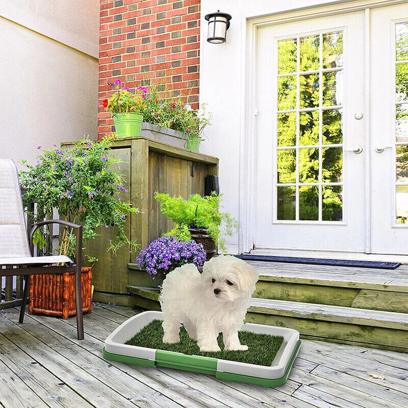 Pet Dog Toilet Mat Indoor Restroom Training Grass Potty Pad Loo