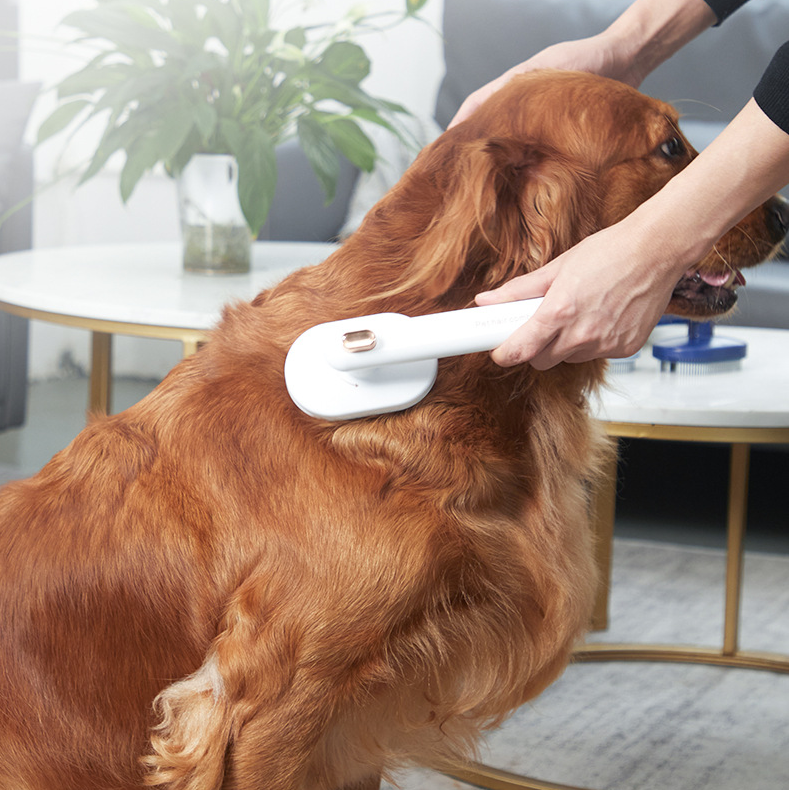 Pet Comb Cat Dog To Remove Floating Hair Pet Brush Removal Artifact