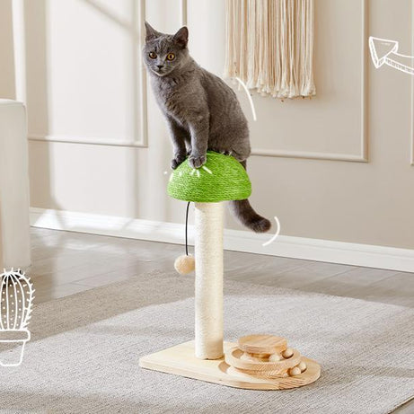 Mushroom Sisal Rope 2-in-1 Wooden Interactive Ball Track Cat