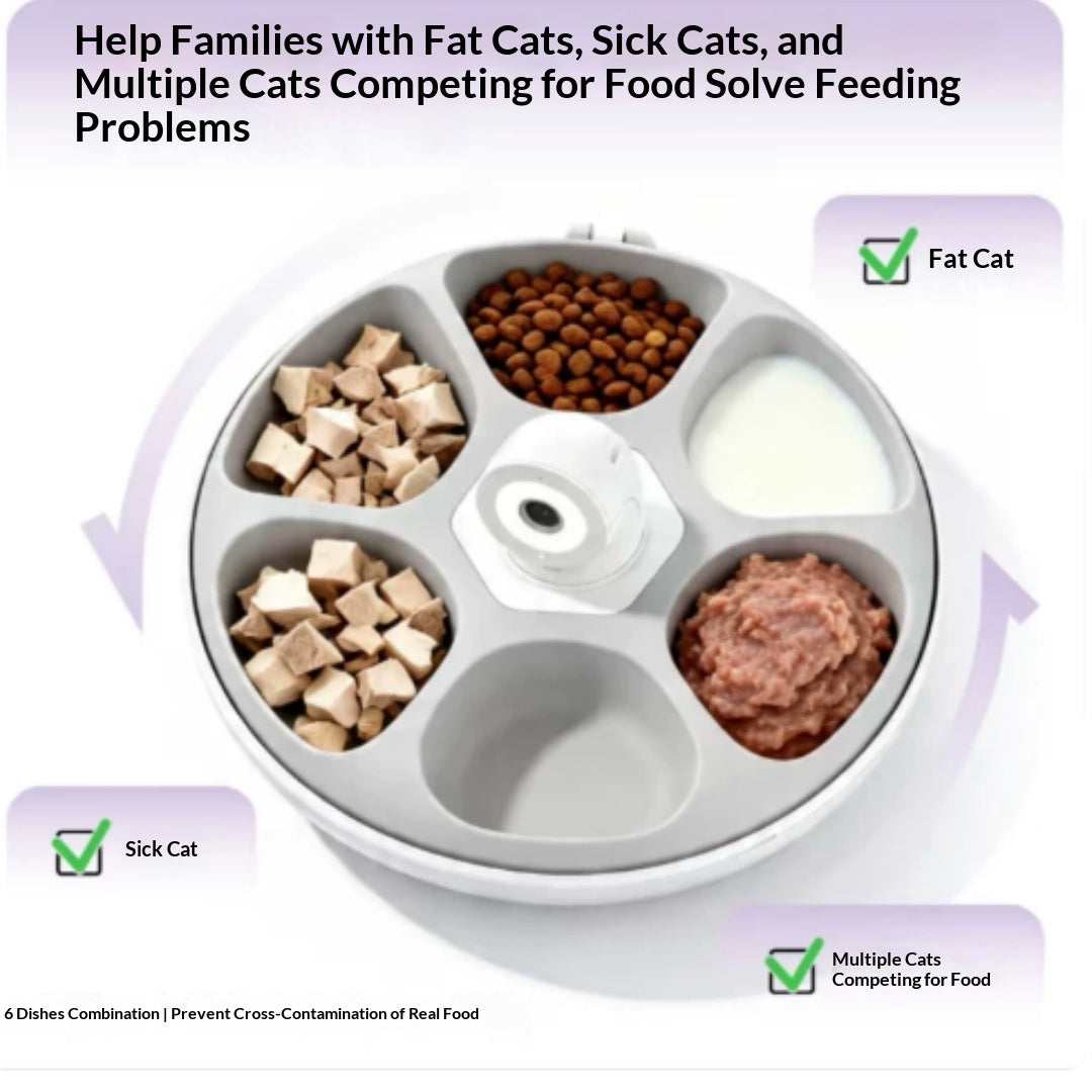 Smart Cat Feeder Ai Facial Recognition Multi Cats Video Camera Gen