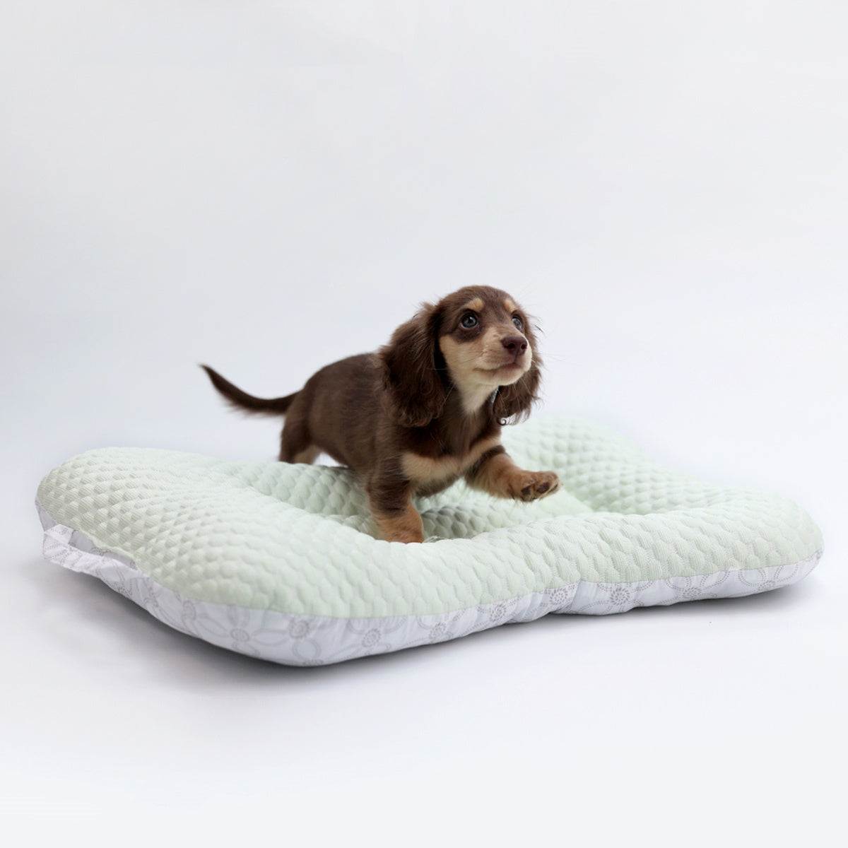 Pet Ice Mat Cooling Non-stick And Hair-resistant Pet Bed