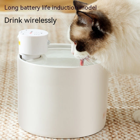Cat Intelligent Water Dispenser Automatic Flow Induction Filter