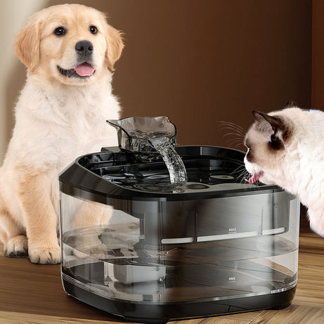 Smart Automatic Circulating Filtration Pet Water Fountain With