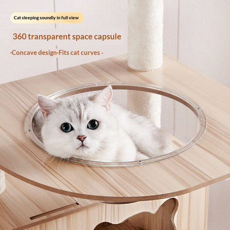Wood-based Particleboard Pet House Design With Built-in Cat Toy