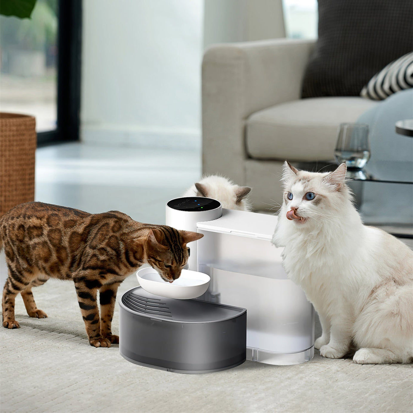 1pc Smart Pet Water Fountain Automatic Cat Dispenser 3l Cordless