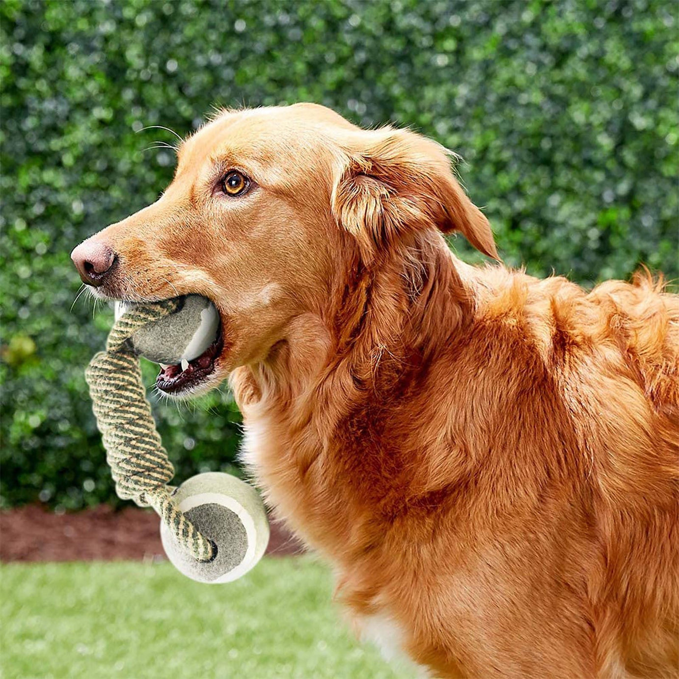 Pet Dog Toys For Large Small Dogs Toy Interactive Cotton Rope Mini