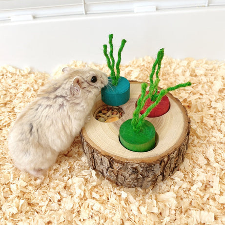 Wooden Pet Foraging Snack Box Rabbit Guinea Pig Molar Educational