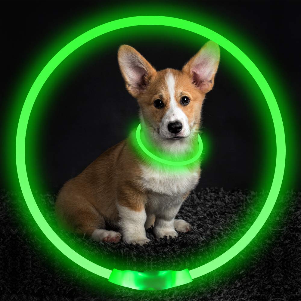 Pet Flashing Collar USB Rechargeable Glowing Necklace Safety Light