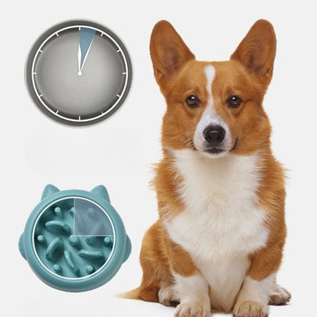 Pet Dog Cat Slow Feeder Bowls Anti Choking Dish Bowl Home Eating