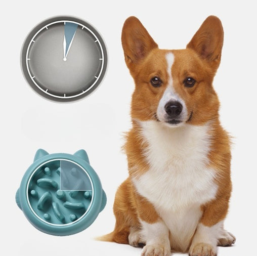 Pet Dog Cat Slow Feeder Bowls Anti Choking Dish Bowl Home Eating