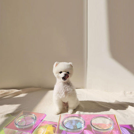 Acrylic Pet Dazzling Bowl Food Basin Small Dog