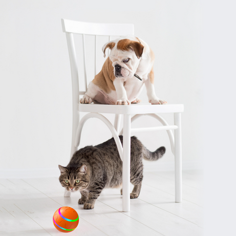 Pet New Cat Wicked Ball Toy Intelligent USB Toys Self Rotating