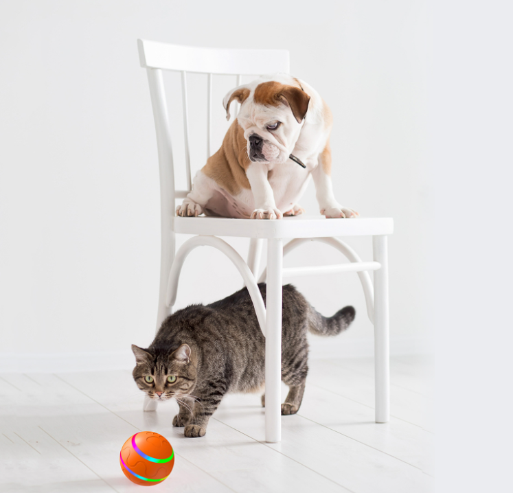 Pet New Cat Wicked Ball Toy Intelligent USB Toys Self Rotating