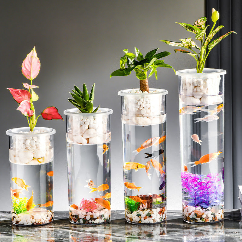 Living Room Micro Landscape Desktop Ecological Pot Transparent