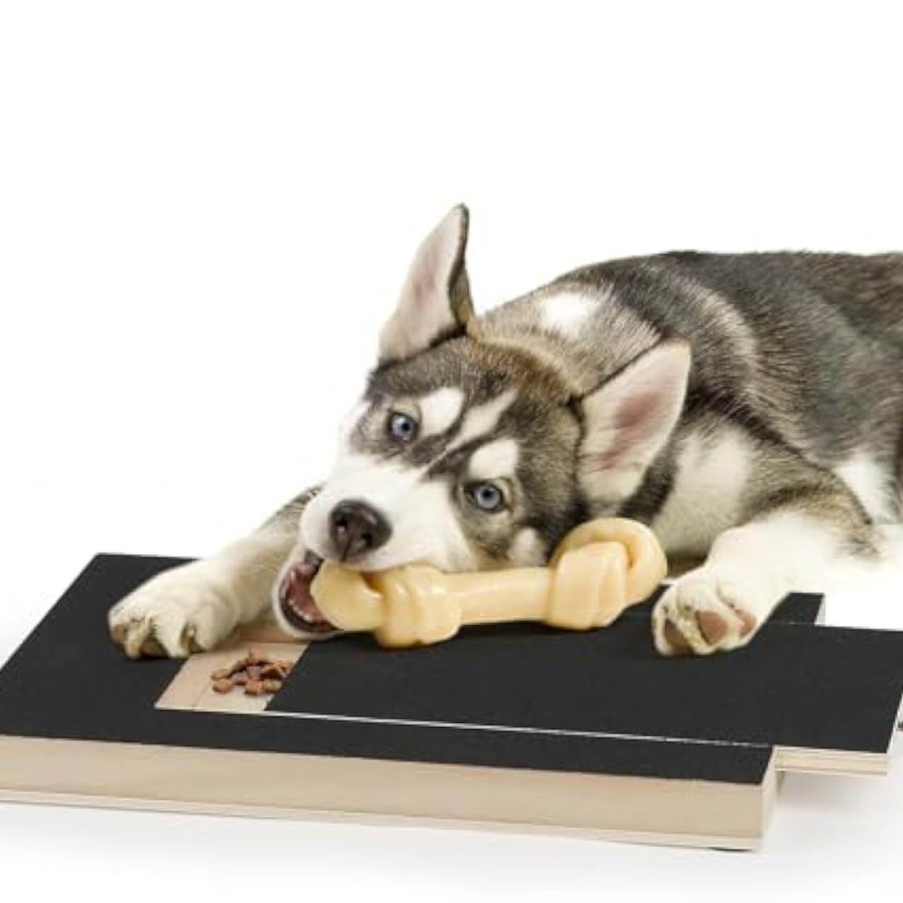 Dog Nail Scratch Board File Grinder Pad For Nails With Treat Box