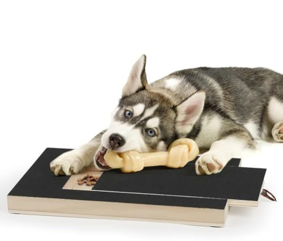 Dog Nail Scratch Board File Grinder Pad For Nails With Treat Box