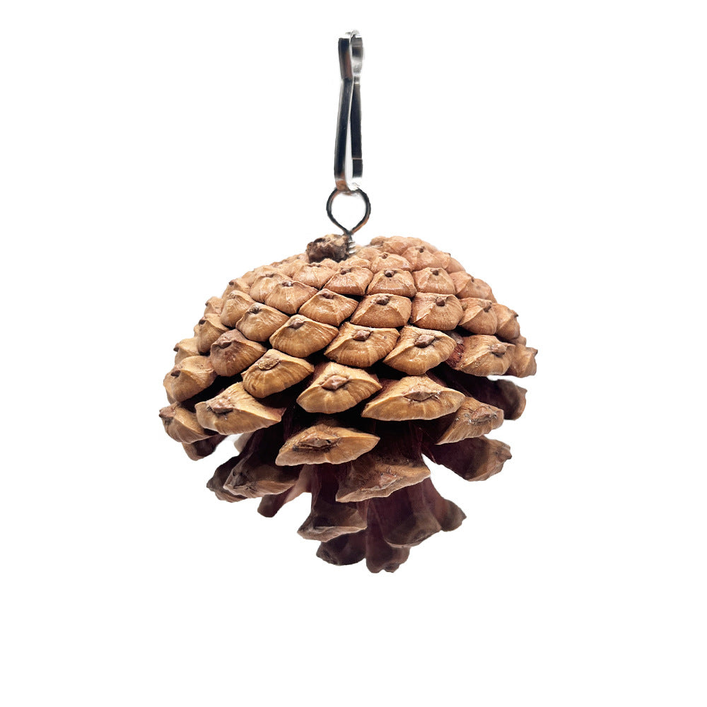 Parrot Bite Toy Can Hang With Studs Pine Cones
