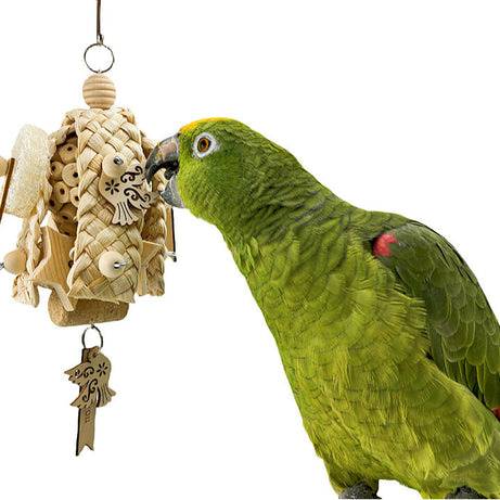 Parrot Natural Ricepaperplant Pith Ball Safety Plant Gnawing Molar