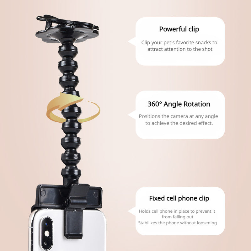 Pet Photo Artifacts Cats Dogs Look At The Lens Toy Cell Phone