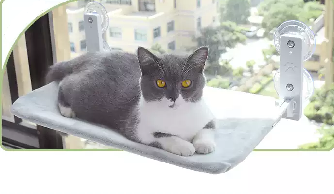 Cat Suction Cup Window Glass Hammock Pet Pets Products