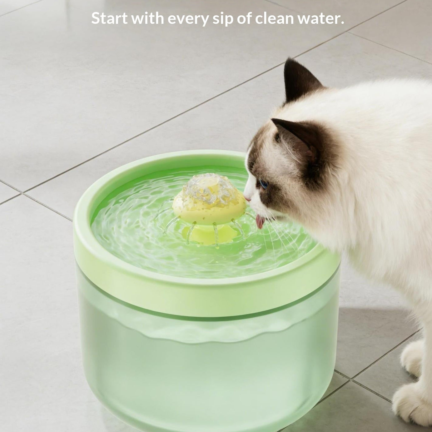 Automatic Filtering Circulating Pet Water Fountain