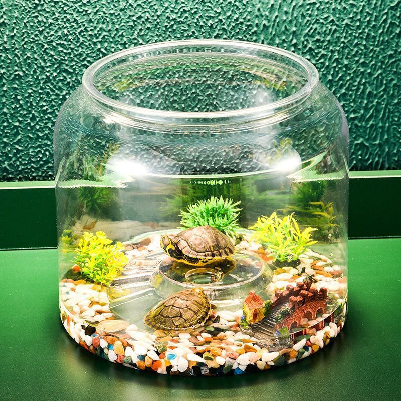 Transparent Plastic Ecological Desktop Landscaping Feeding Fish Tank