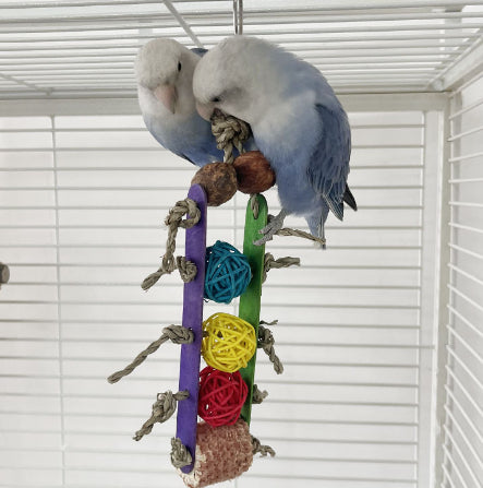 Creative Parrot Corn Cob Bite String Wooden Toy