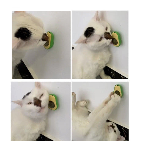 Avocado Cat Mint Multifunctional Catnip Toy 360 Rotating