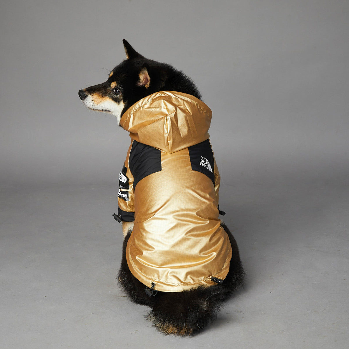 Windproof And Rainproof Dog Large Raincoat Shell Jacket