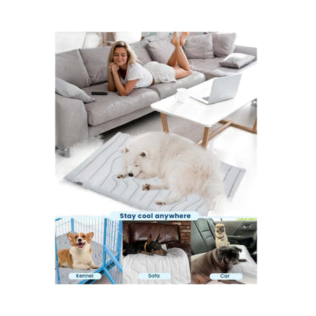 Pet Ice Mat Summer Dog Cat Cool Pad Mattress Heatstroke Prevention