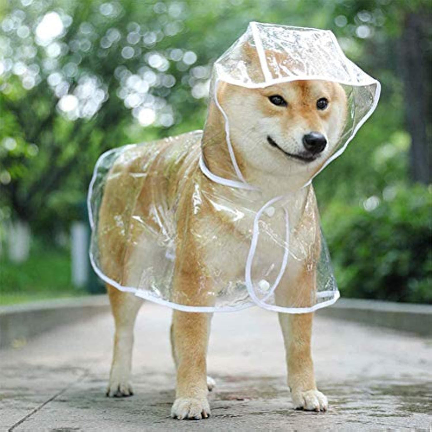 Clear Raincoat For Small Medium Dogs Pet Waterproof Clothes