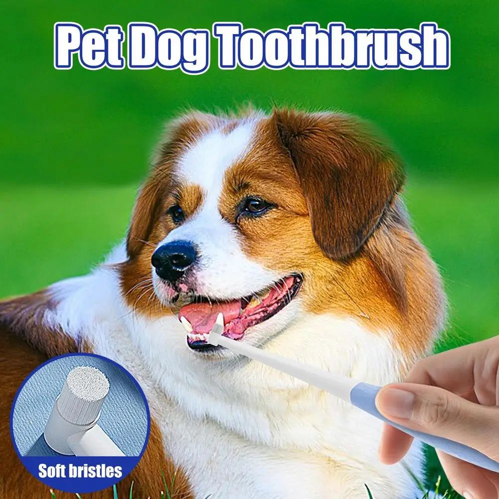 Pet Toothbrush Kitten Tooth Brushes Small Cats Safe Dog Oral Care