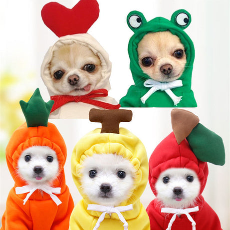 Cute Fruit Dog Clothes For Small Dogs Hoodies Winter Warm Fleece