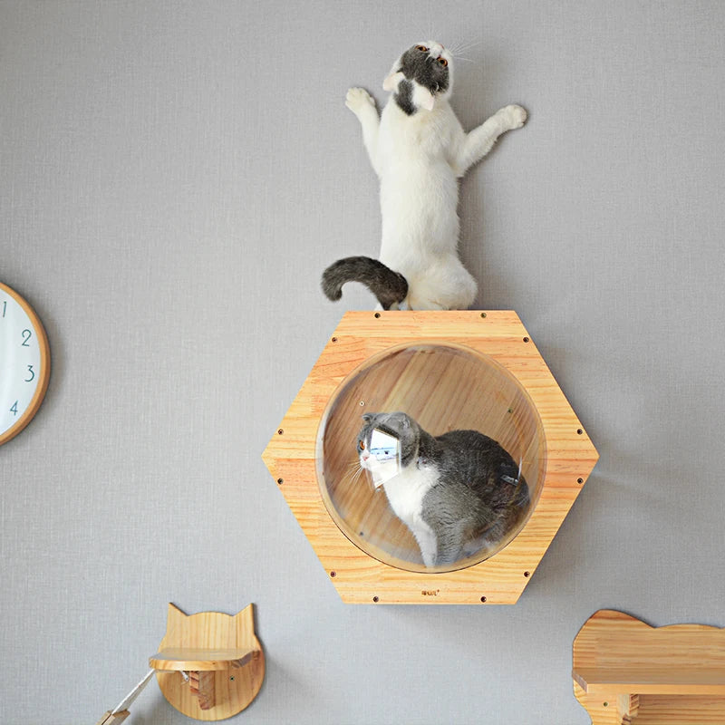 Solid Wood Scratching Post Cat Drilling Hole Luxury Tree Toy