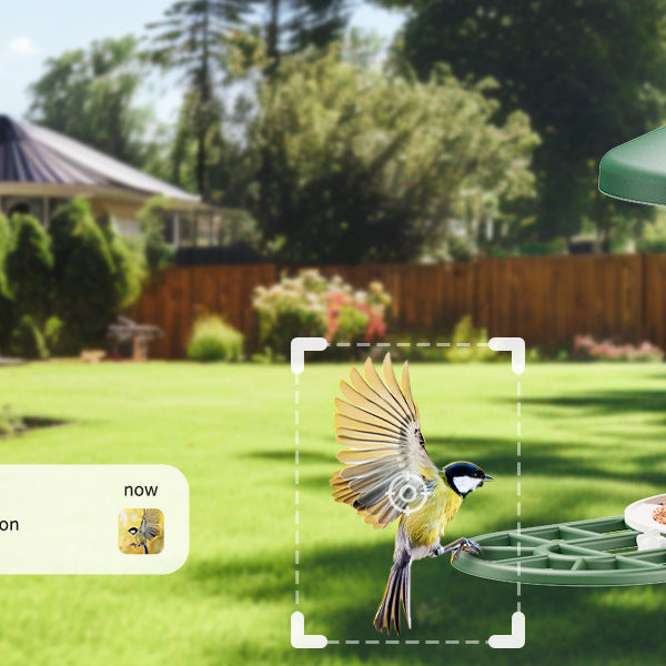 Smart Feeder Surveillance Wireless Camera